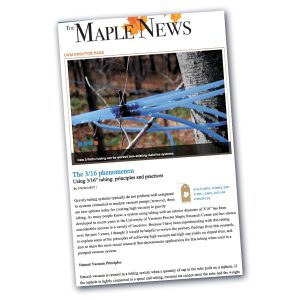 The Maple News 3/16 Phenomena