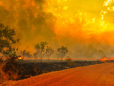 Smoky Lake would like to provide relief in wildlife recovery efforts in Australia