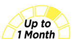 speed icon 1 month