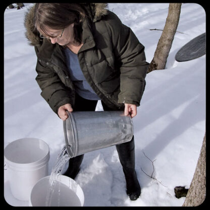 How To Make Maple Syrup Smoky Lake Maple Products