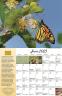 2023 Phenology Calendar - June